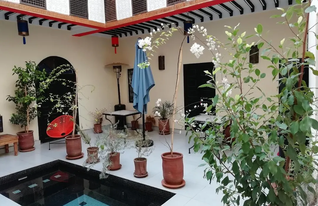 Riad Jeremy-1