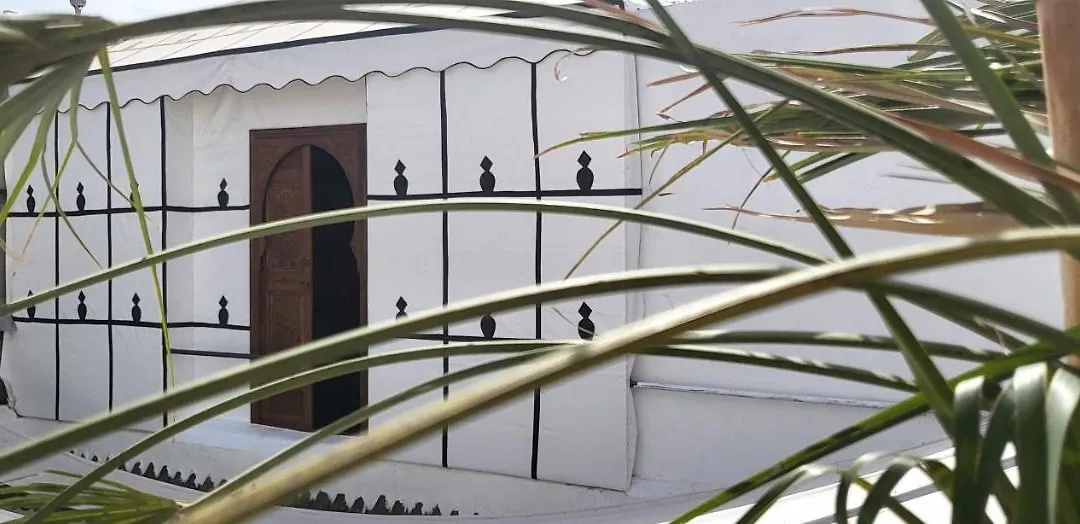 Riad Ayada-1