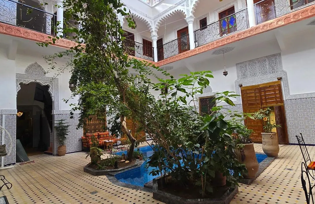 Riad Raffaa-1