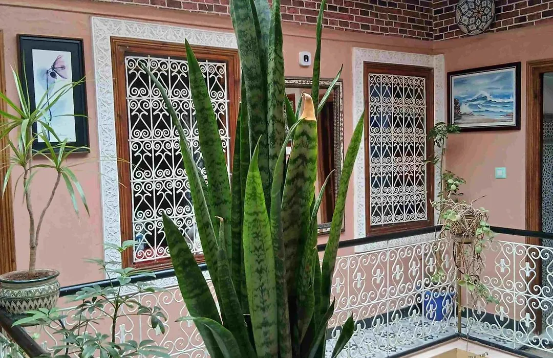 Riad 112-1