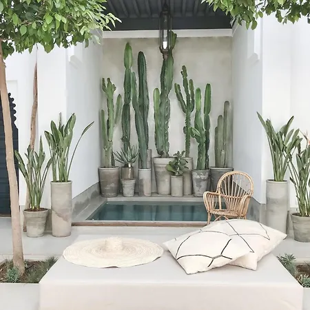 Riad Dar-K-3