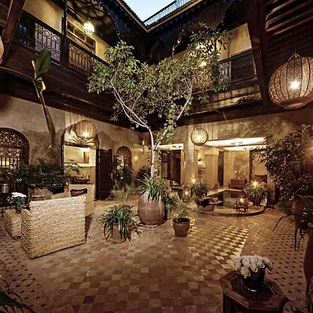 Riad Khol-2