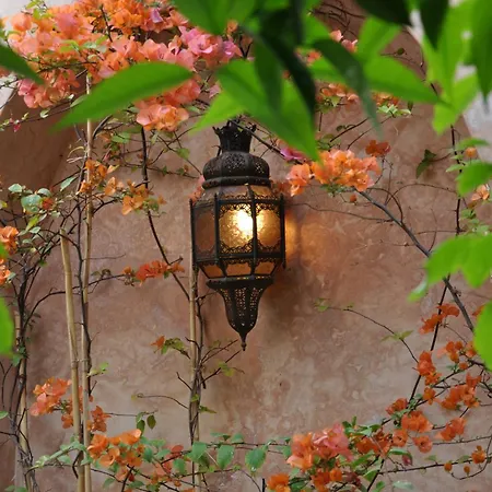Ryad Dar Ganou-3