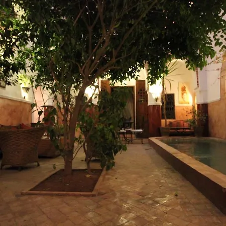 Ryad Dar Ganou-2