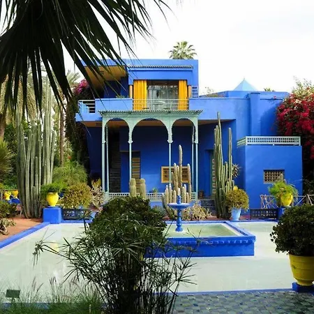 Riad Hanafi-3