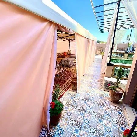 Riad Nouhal-3