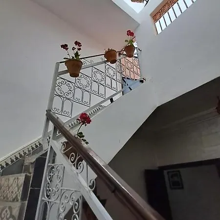 Riad Anisse-2