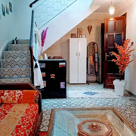 Riad Anisse-3