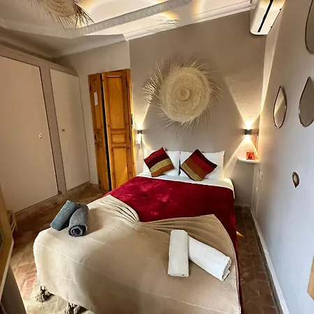Riad Safina-2