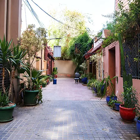 Riad Douirtna-3
