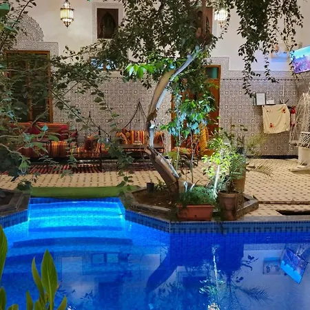 Riad Raffaa-2