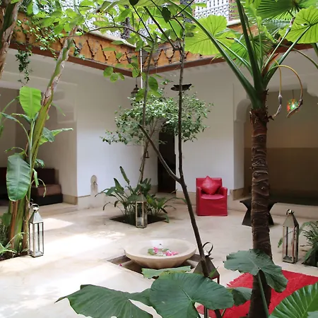 Riad Djebel-3