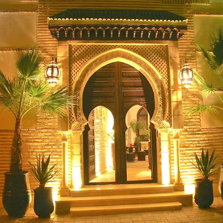 Riad Omri-2