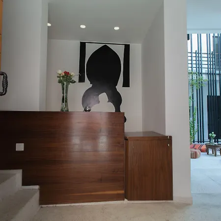 Riad Zebrakaro-2