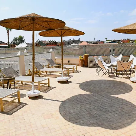 Riad Emberiza Sahari-3