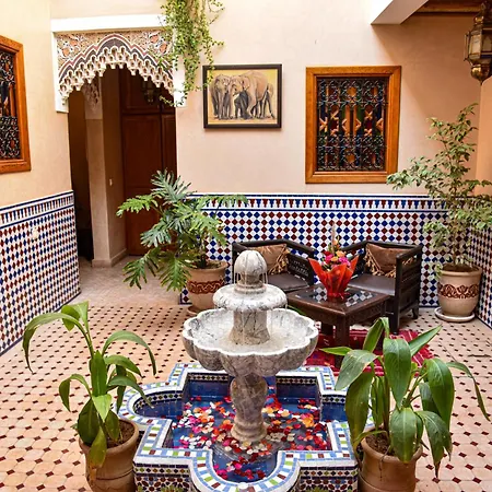 Riad Zanouba-3