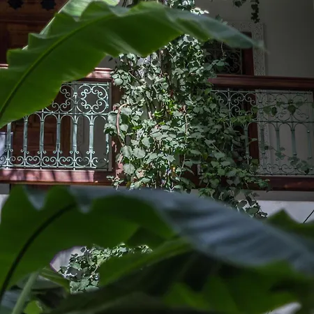 Riad Les Bougainvilliers-2