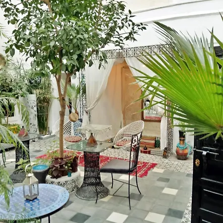 Riad Gaya-3