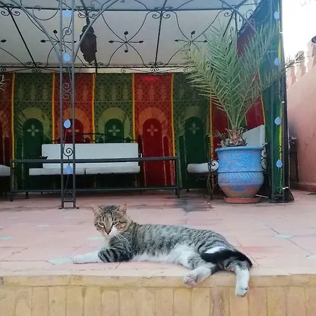 Riad Araba Felice-3